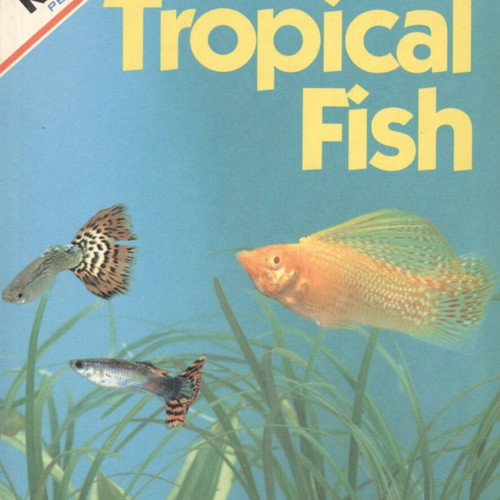 Care for Your Tropical Fish book like new, English