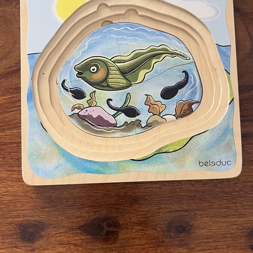 Belsduc 5-Layer Frog Wooden Educational Puzzle Montessori