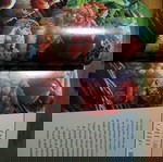  le ricette della nonna libro-βιβλιο μαγειρικής στα ιταλικά