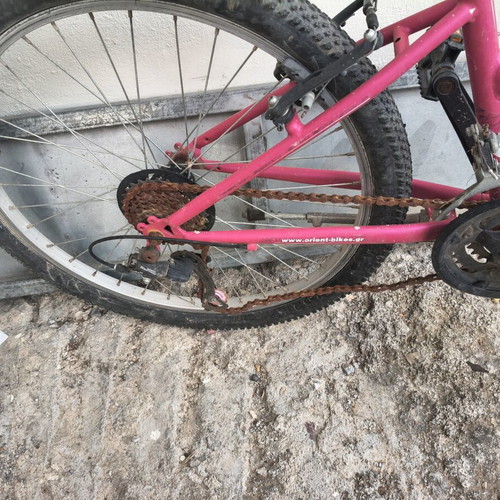 Orient 24" kids bike