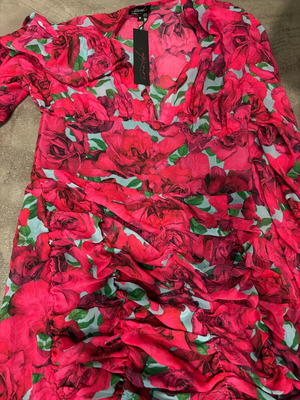Iraida dress new, floral, mini with zipper and gathers