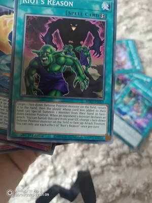 Yu-Gi-Oh Riot's Reason card like new