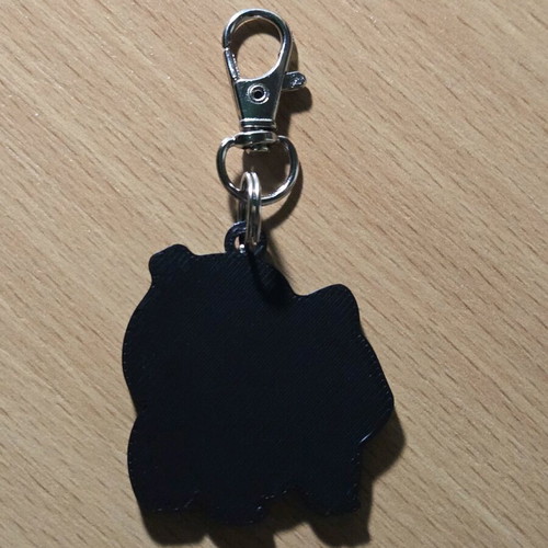 Bulbasaur keychain new multicolored turquoise