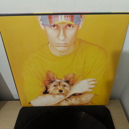 Pet Shop Boys Introspective LP used, electronic