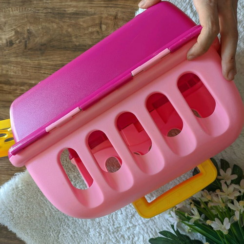 Pet box toy, plastic playhouse for puppy or kitten