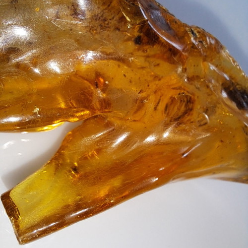 Baltic amber with insects, new, 51.48 g, millions of years old