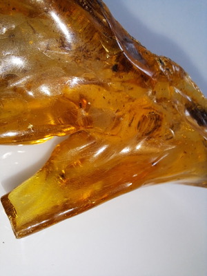 Κεχριμπάρι Βαλτικής με έντομα, καινούργιο, 51,48 γρ., εκατομμυρίων ετών