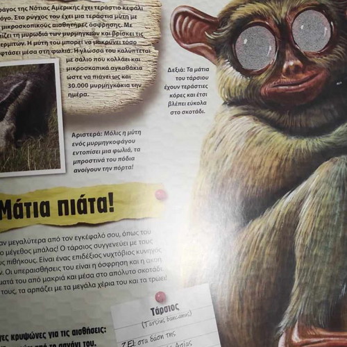 Children's 3D book with animals in excellent condition