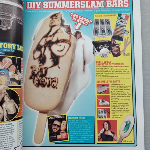 WWE Magazine July 2008 Retro Pro-Wrestling Used