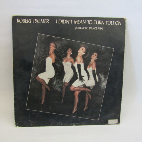 Robert Palmer I Didn't Mean To Turn You On LP used, extended dance mix