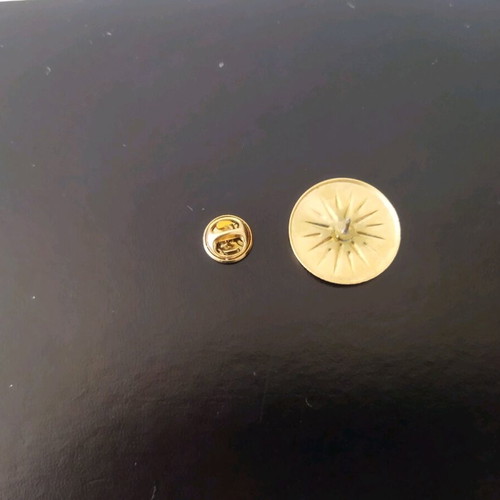 Collectible Pin 16-Ray Vergina Star like new