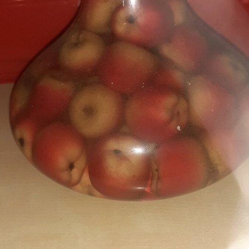 Rustic Decorative Vase with Wild Small Apples used