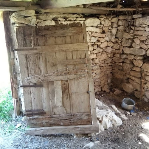 Building land with olive trees in Messinia, Petalidi Achladochori