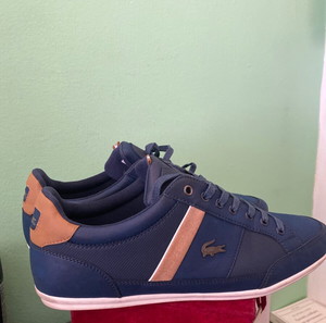LACOSTE -43 νουμερο ανδρικά