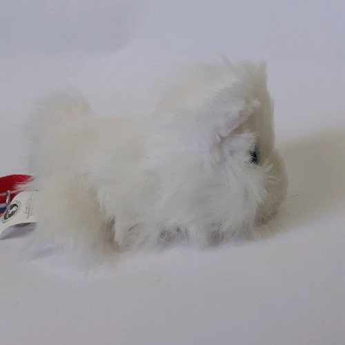 The Cat plush cat set used, two small