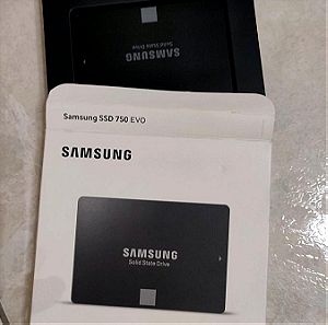 ΜΕΙΩΣΗ Σκληρός δίσκος Samsung SSD 750 Evo 120GB
