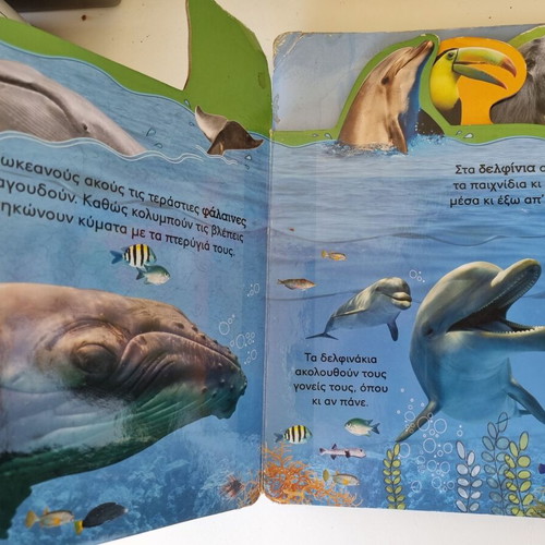 Book 'Sounds from the Forest, Jungle and Sea' by Vaggelis Tasiopoulos