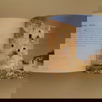 ΒΙΒΛΙΟ ΛΕΥΚΩΜΑ ΚΡΗΤΗ 365, εκδόσεις Μίλητος