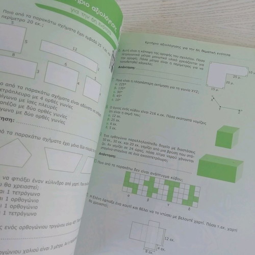 Sixth Grade Textbooks like new with exercises and examples