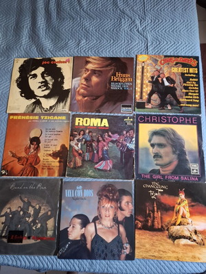 Vinyl records used, 43 foreign albums excluding Gallagher and Yanni