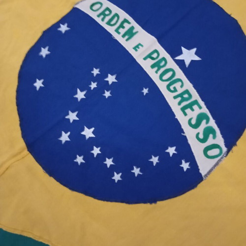 Brazilian flag new