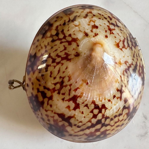 Vintage French Coin Purse Handmade Natural Shell Metal used