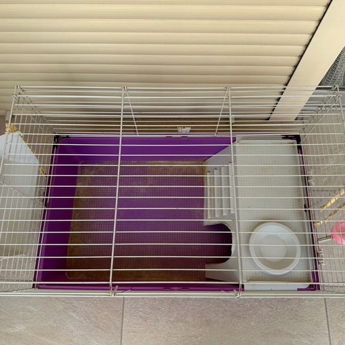 Guinea Pig Cage used for small animals