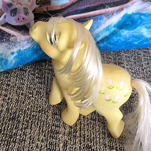 My Little Pony G1 '84 used with accessories