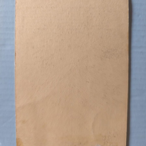 The Poetess Sapho Art Collectible Card like new