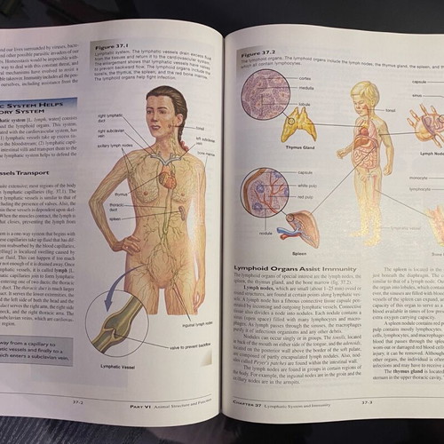 Biology books by Sylvia S. Mader and art notebook new