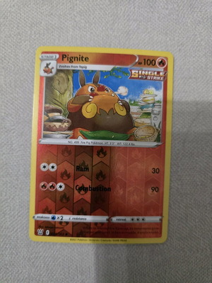 Pignite Pokemon card new
