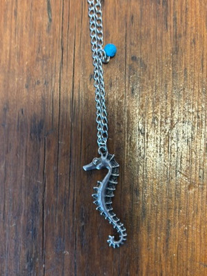 Seahorse necklace stainless steel new, long