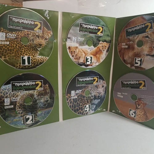 Big Cat Week 2 DVD used documentary with subtitles