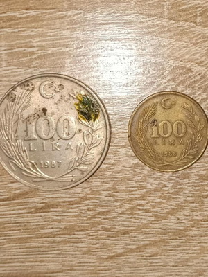 Turkish coins used, 2 pcs 100 lira (1987 & 1988)