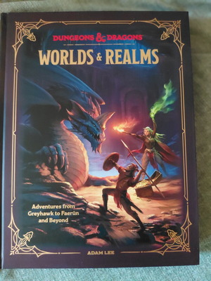 Dungeons & Dragons Worlds and Realms book like new, English