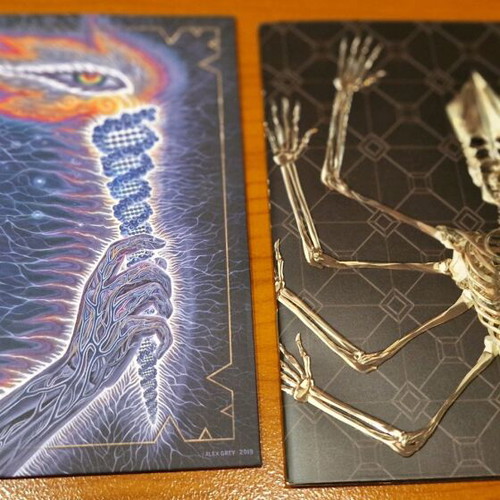 Tool Fear Inoculum Deluxe Limited Edition CD used with 4" HD screen