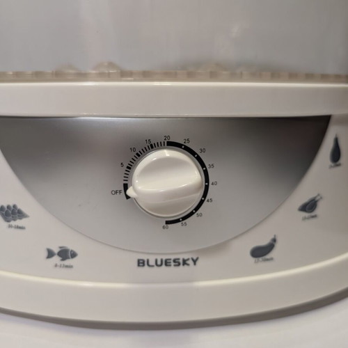 Bluesky BFS8370 Steamer 6 liters 900W used