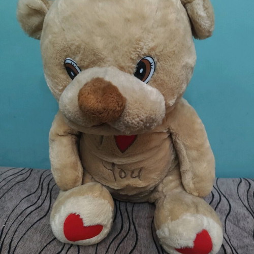 Large teddy bear with hearts used