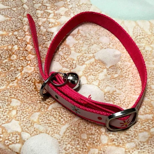 Cat collar new, suitable for all breeds and sizes