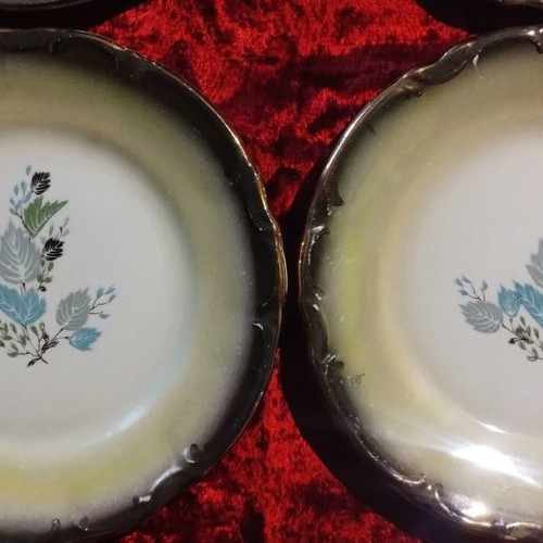 Dishes used, pack of 4, Austrian porcelain from the 1950s