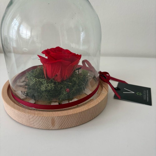 Forever Rose glass dome with rose new