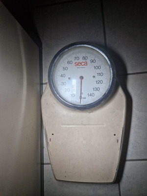 Seca professional analog scale used