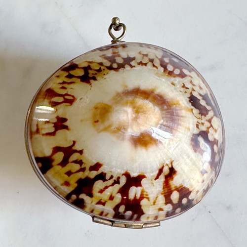 Vintage French Coin Purse Handmade Natural Shell Metal used