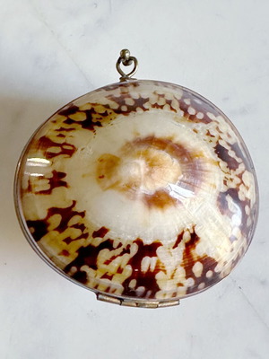 Vintage French Coin Purse Handmade Natural Shell Metal used