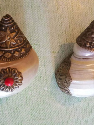 Shankha παραδοσιακά τελετουργικά κοχύλια σαν καινούργιο από Θιβέτ ή Νεπάλ