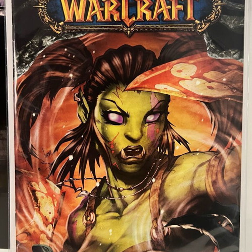 Wildstorm Comics World of Warcraft Issue 15 2007 like new
