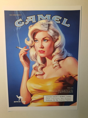 Camel A4 poster, matte photographic print