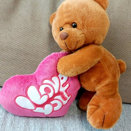 Plush teddy bear new, medium size in gift packaging