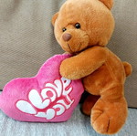 Plush teddy bear new, medium size in gift packaging