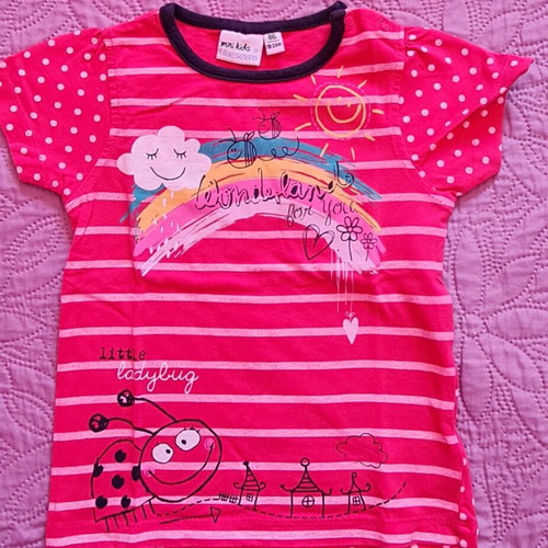 Pack of 12 t shirts for 2-year-old girl like new
